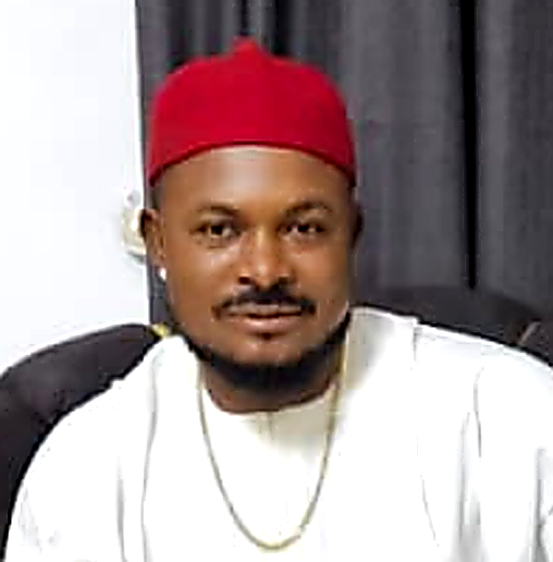 Ani Ndubuisi James, CEO of Don-N Interior Homes Limited